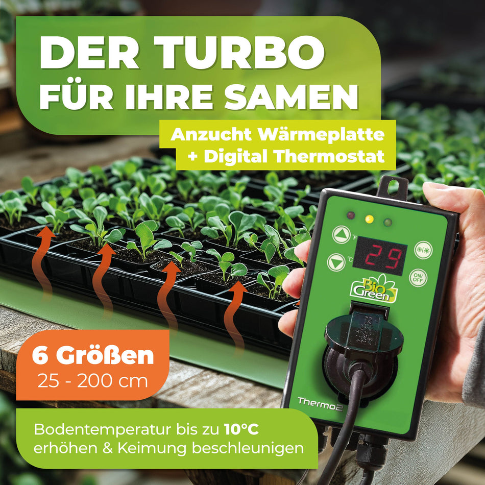 Heat plate including digital thermostat as a cultivation booster for plants