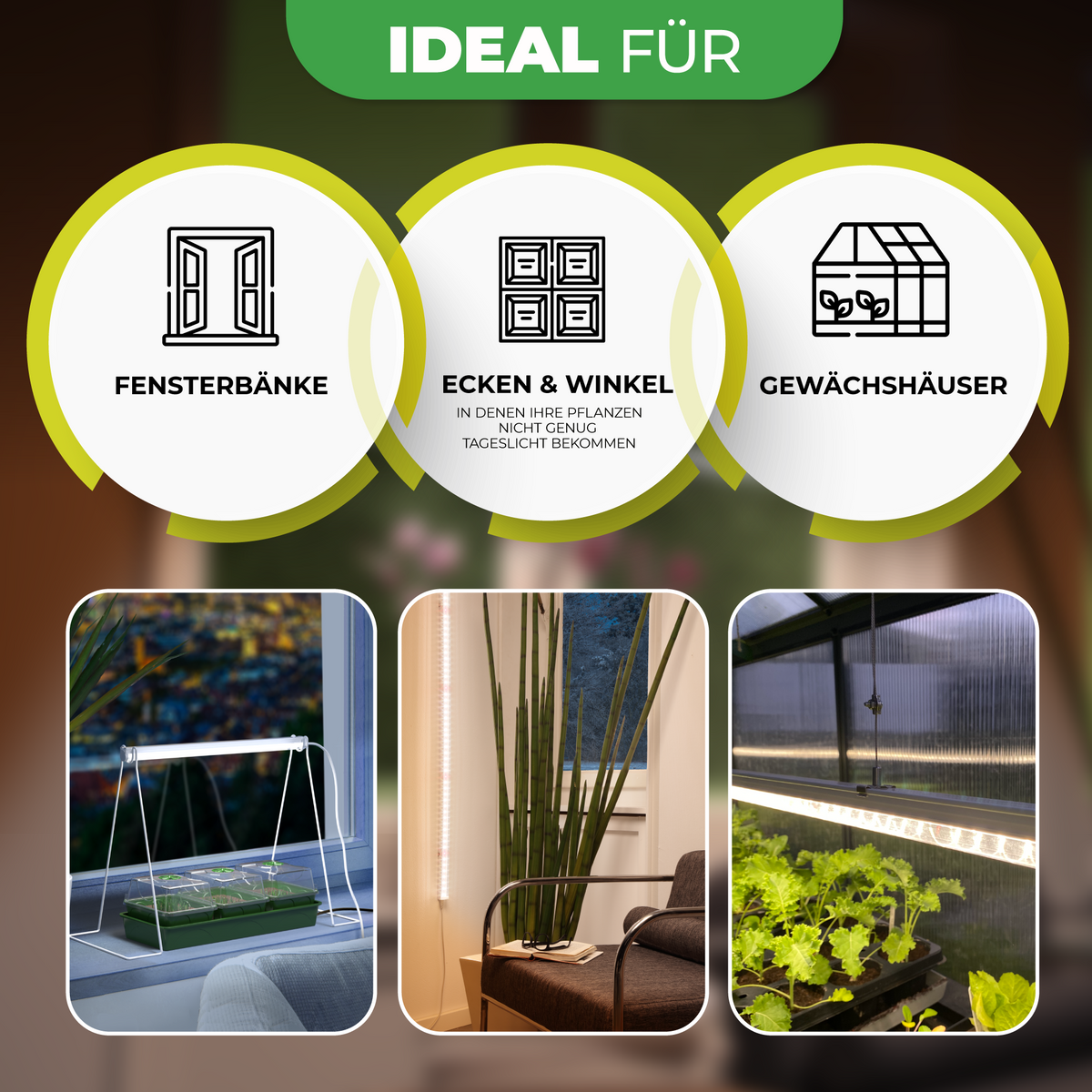 Bio Green LED-Lichtleiste für Pflanzen Florabooster 200 für Gewächshaus, Fensterbank und dunkle Ecken