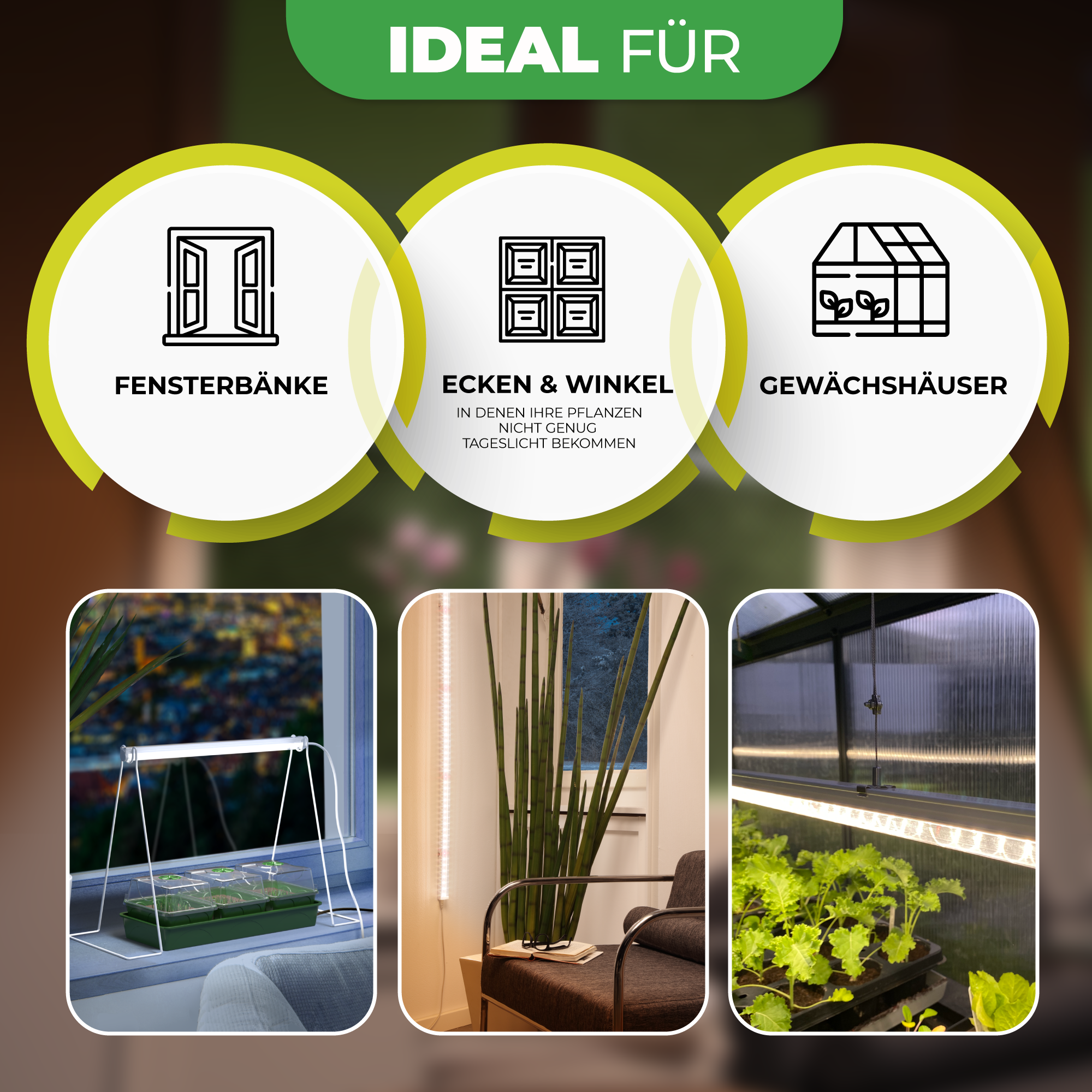 Bio Green LED-Lichtleiste für Pflanzen Florabooster 200 für Gewächshaus, Fensterbank und dunkle Ecken