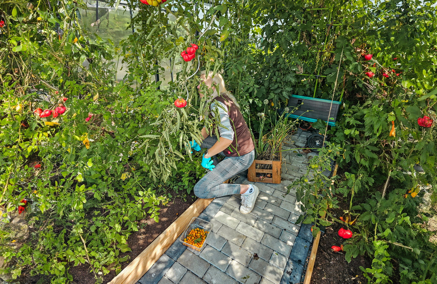 Beet-Einfassung bauen mit ErnteMAXX