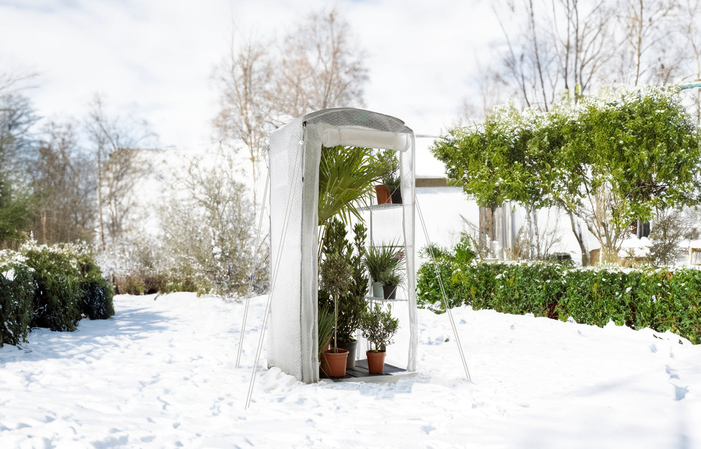 Winterschutzzelt für Pflanzen