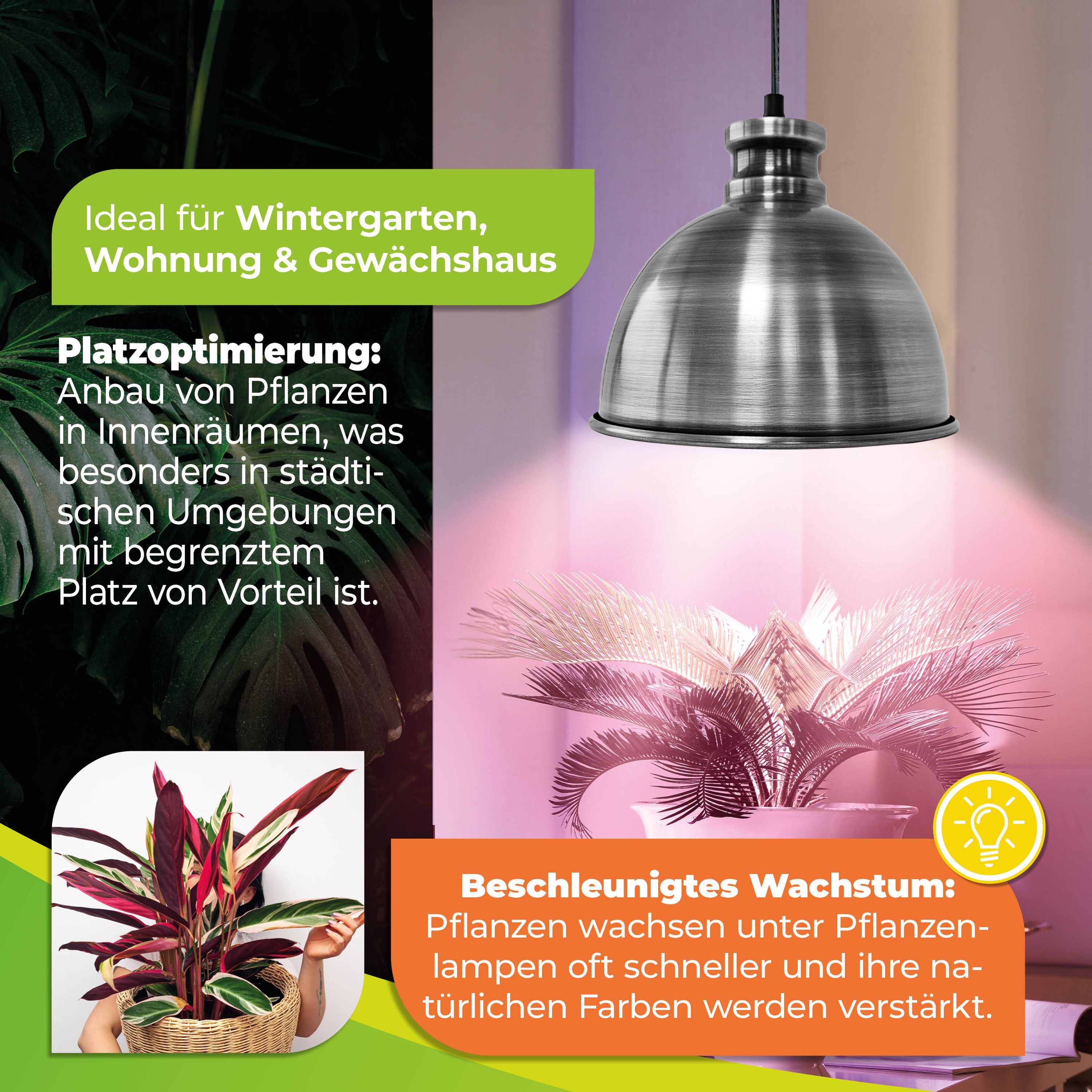 Bio Green FLORABOOSTER 500 Pflanzenlampe – LED Vollspektrum, 6,5 Watt, Für Zimmerpflanzen & Gewächshaus