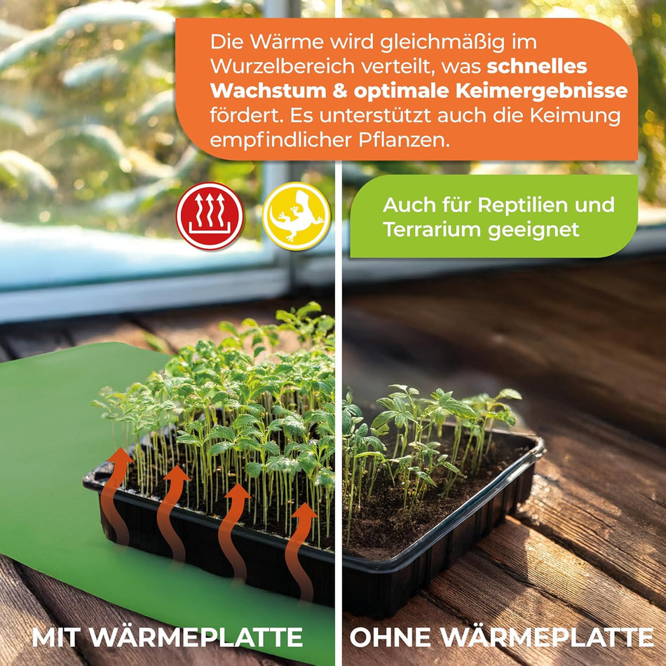 Heat plate as a breeding booster for plants in 6 sizes