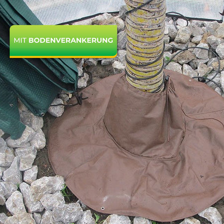 Bio Green Wurzelschutz für Palmen mit Bodenverankerung