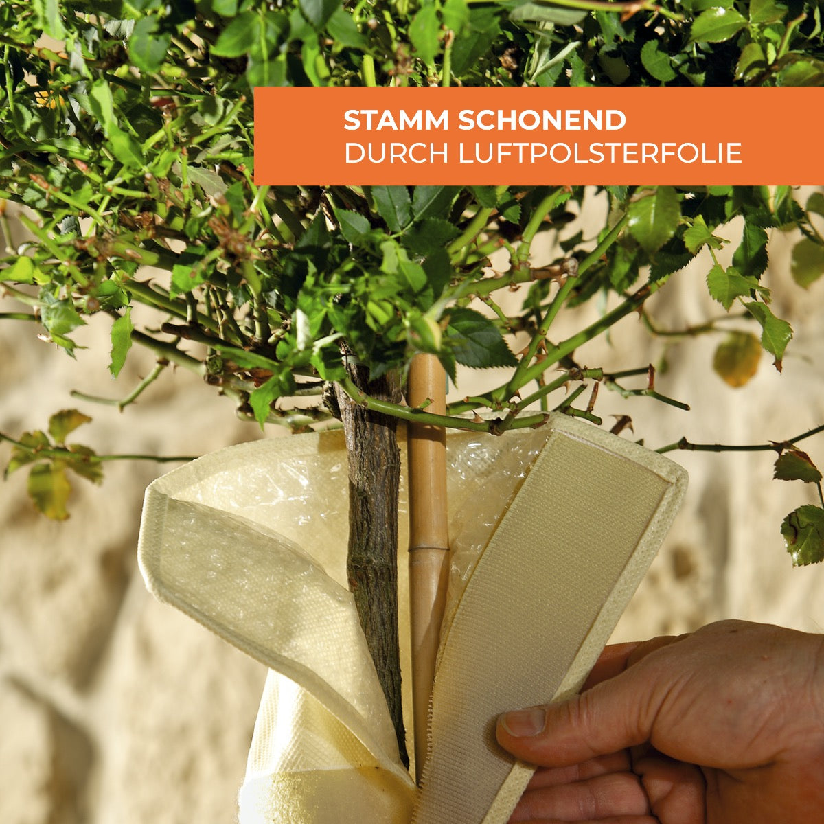 Bio Green Schutzmantel für Baumstämme aus Micro-Vlies - Stammschonend dank Luftpolsterfolie