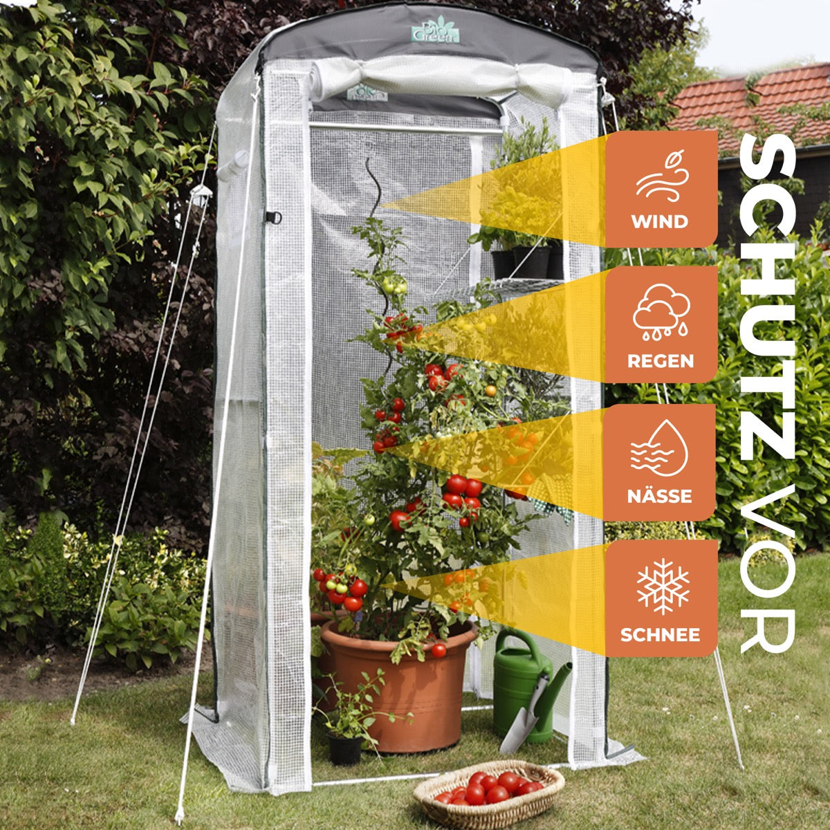 garten pflanzen zelt Überwinterungszelt "Patioflora 100/L" für Pflanzen L 100 x B 80 x H 22