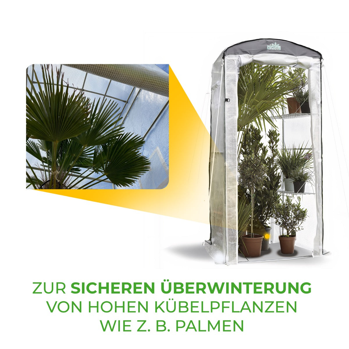 Gewächshaus Patioflora 100L Balkon Terrasse kaufen