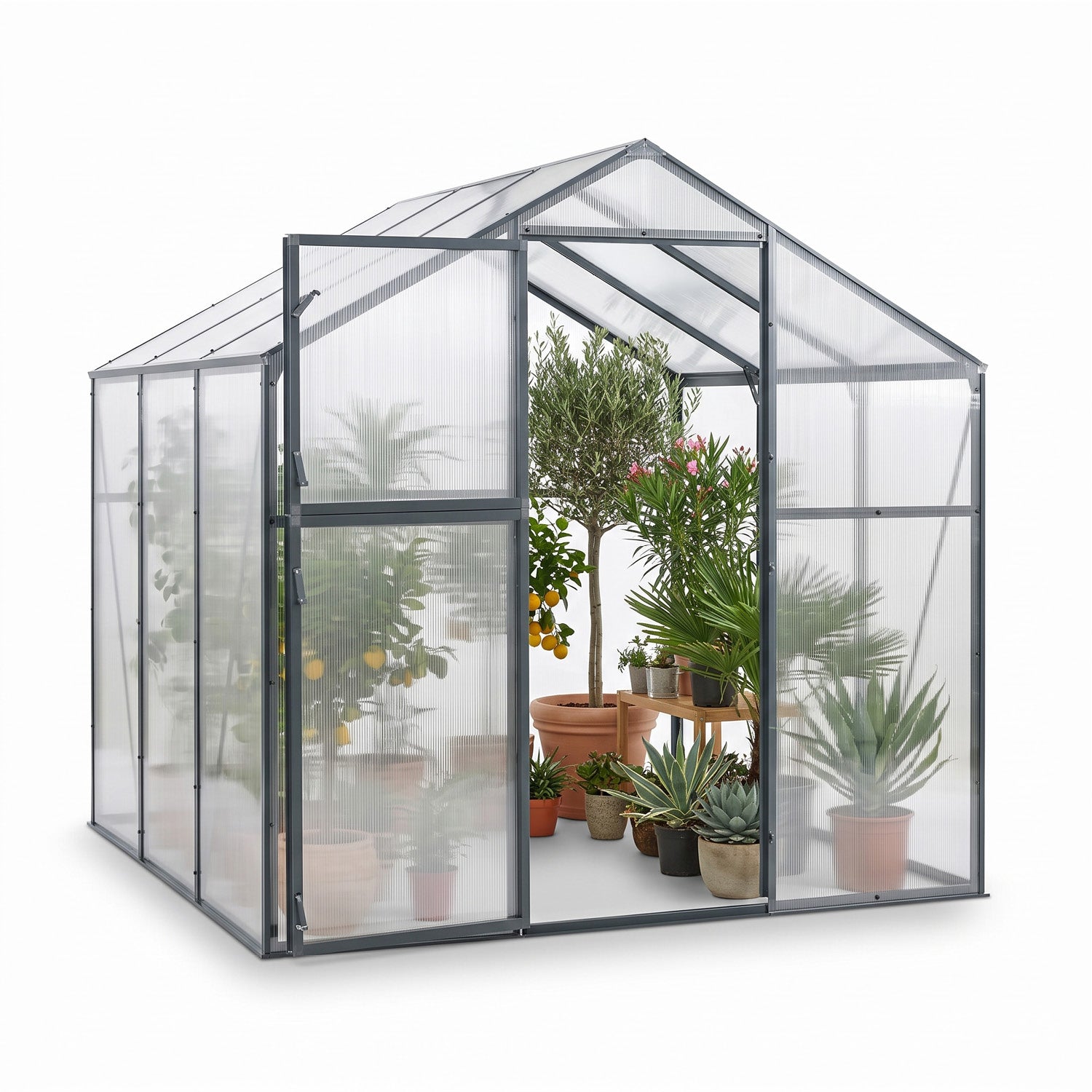 Serre « Paradis » avec structure en aluminium disponible en 3 tailles