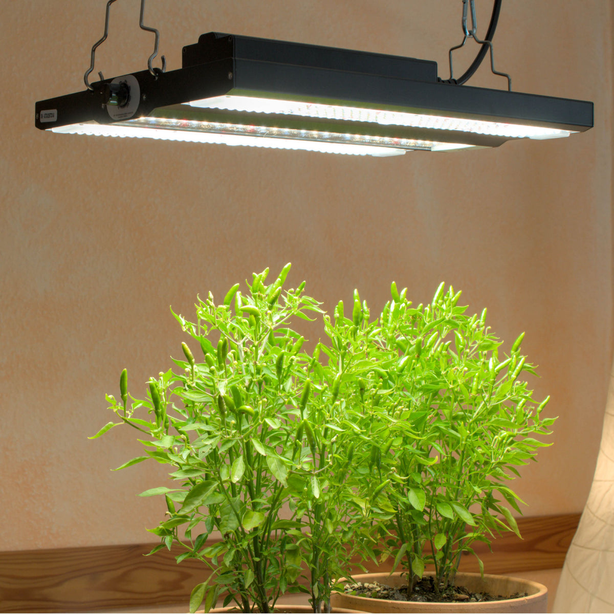 flora led house plant LED plant lamp FLORIS 150 Watt, full plant light spectrum