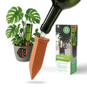 Potted plant watering “Hydro Wine” clay cones for wine & PET bottles