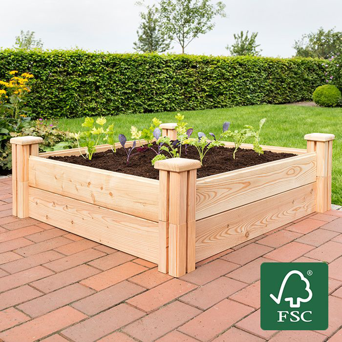 Xforst Mini-Spitzhacke X-PF430 – Fiberglasstiel, Geschmiedeter Stahl, Für Garten & Camping (41 Cm) Xforst Mini-Spitzhacke X-PF430 – Fiberglasstiel, Geschmiedeter Stahl, Für Garten & Camping (41 Cm)