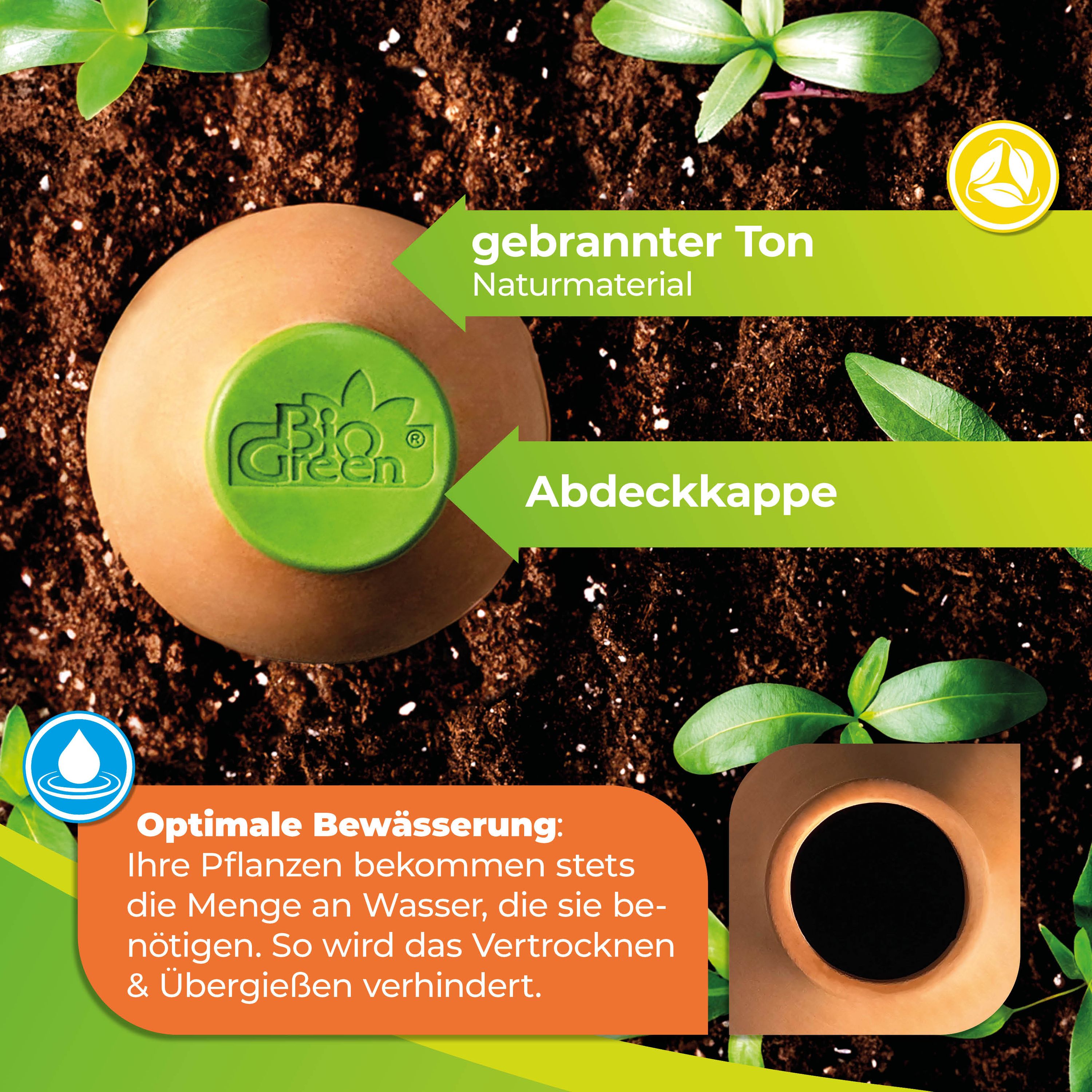 Olla Pflanzenbewässerung 