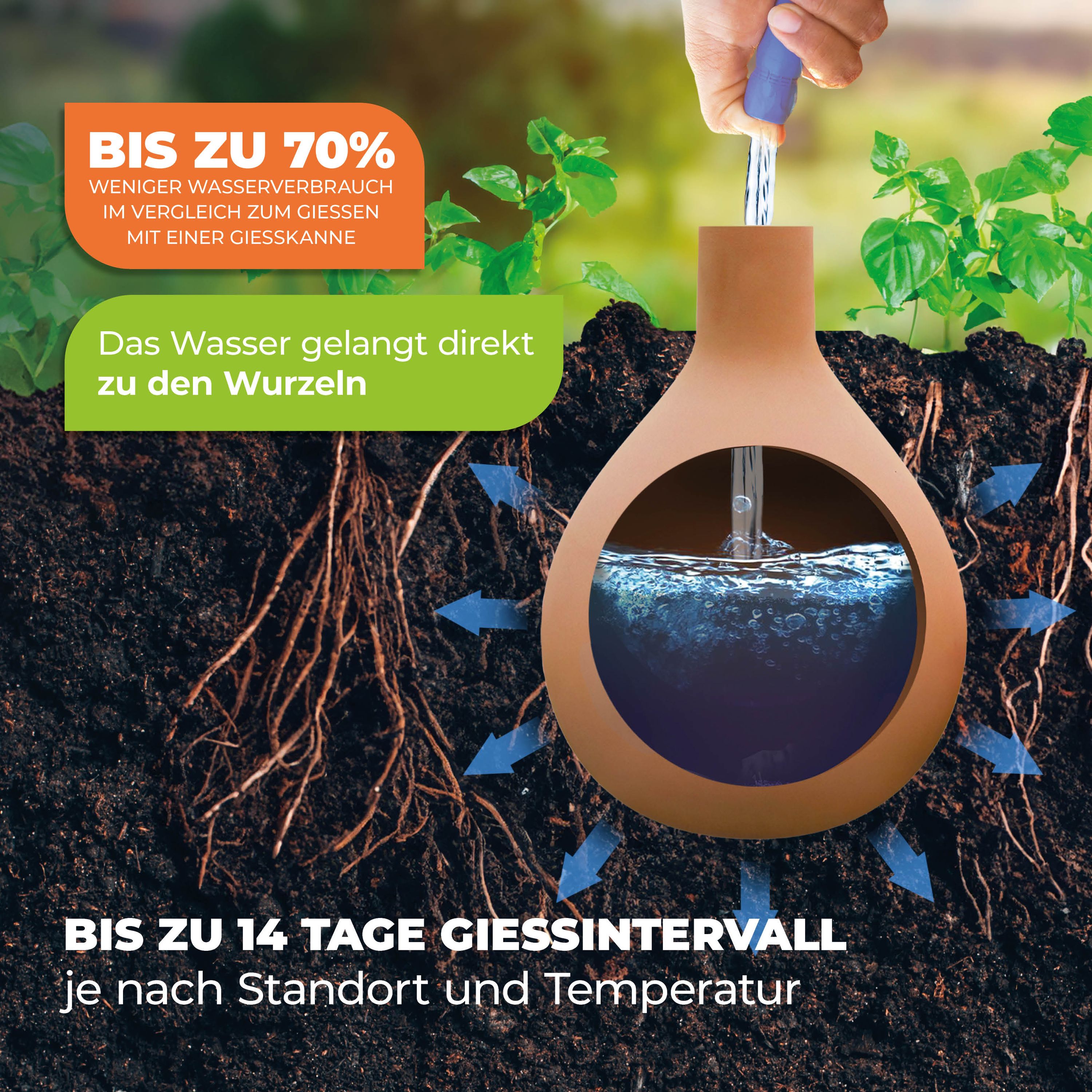 Olla Pflanzenbewässerung 