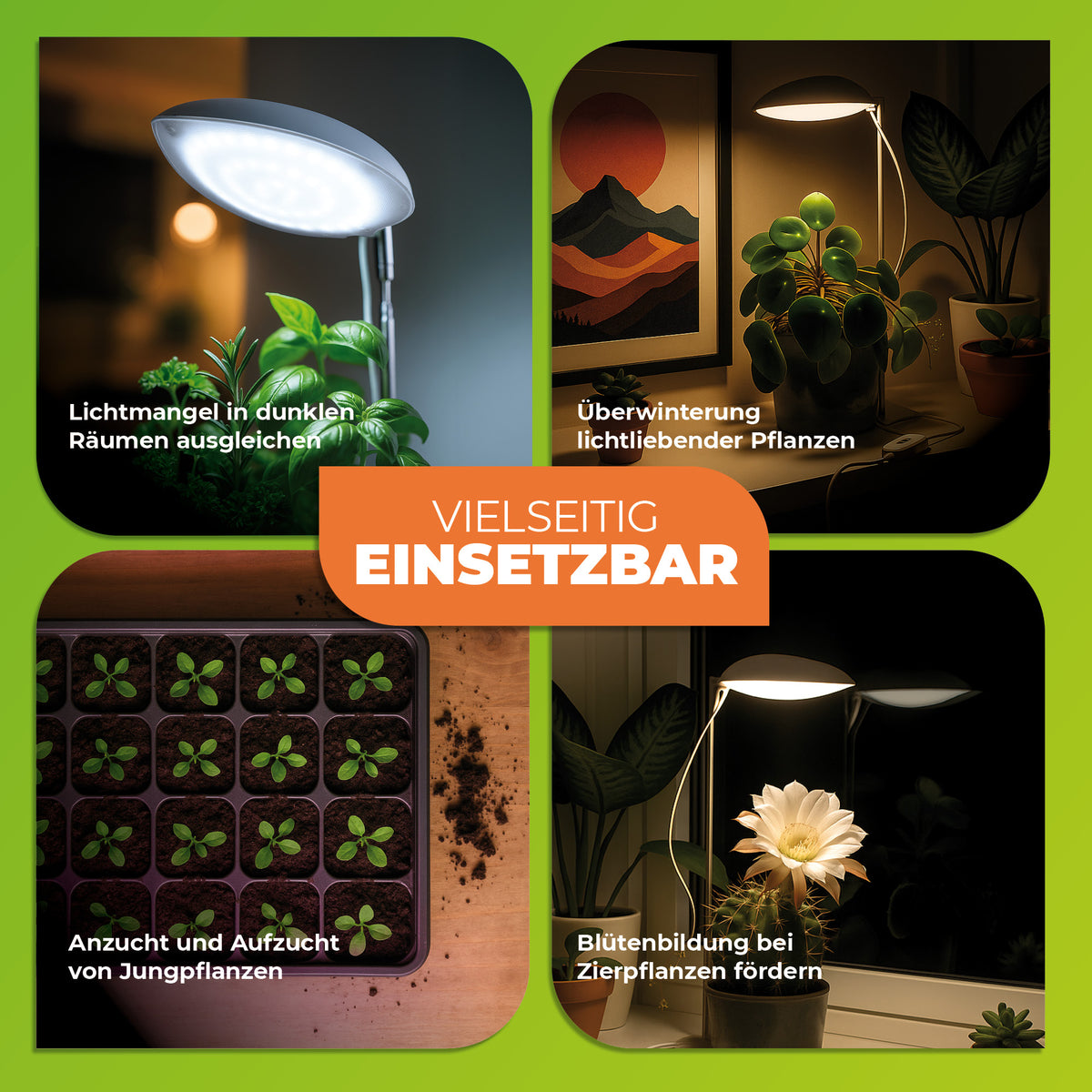BBSolar Pflanzenlampe 4 Köpfe, Vollspektrum 120 LEDs, 3 Farbmodi, 10 Helligkeitsstufen, Timer 3/9/12 H – Für Zimmerpflanzen & Kräuter BBSolar Pflanzenlampe 4 Köpfe, Vollspektrum 120 LEDs, 3 Farbmodi, 10 Helligkeitsstufen, Timer 3/9/12 H – Für Zimmerpflanzen & Kräuter