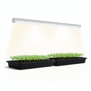 Pflanzenlampe mit Vollspektrum LED 