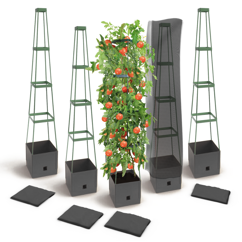Set of 5 "Maxitom" plant towers with plant protection net, 150 cm, colour: anthracite
