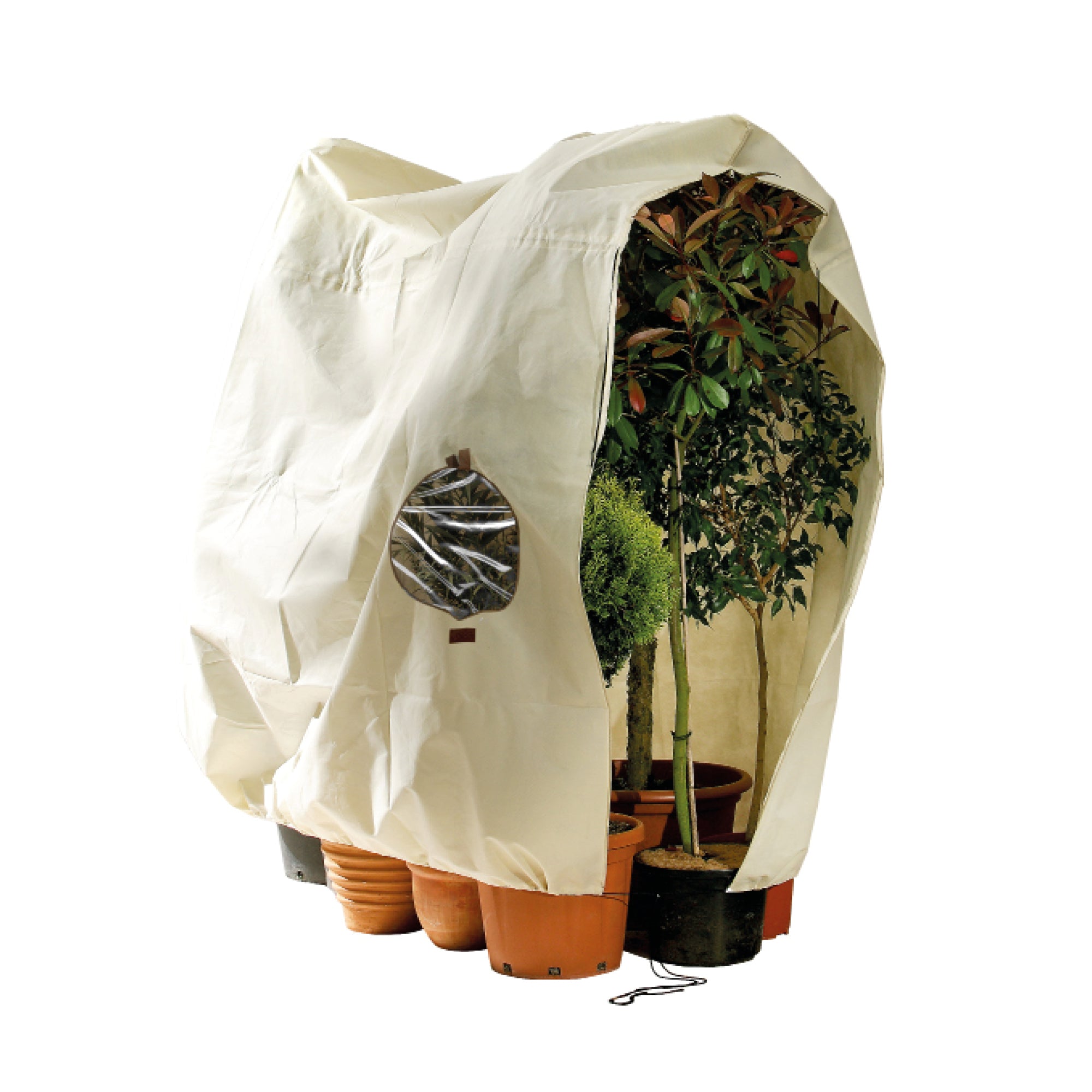 winterzelt für pflanzen jumbo Winterschutz für Kübelpflanzen "Jumbo Window" H 200 x B 240 cm