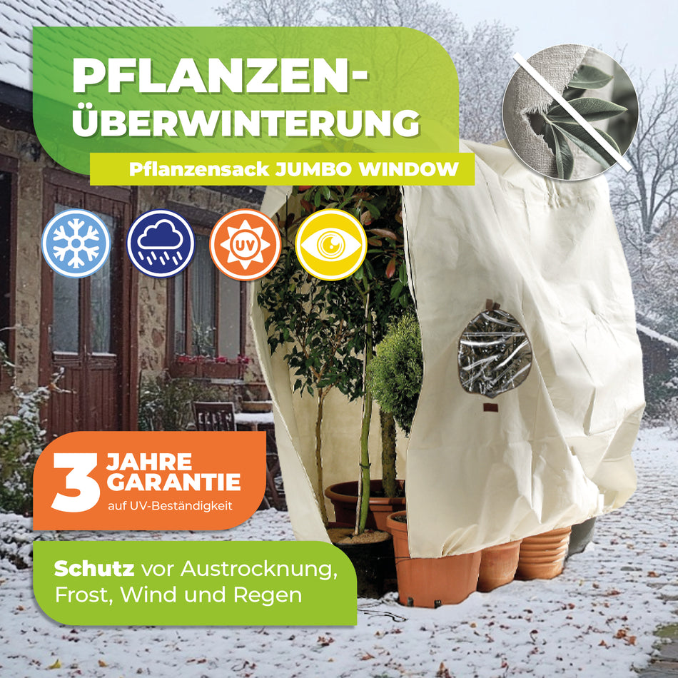 Winterschutz für Kübelpflanzen "Jumbo Window" H 200 x B 240 cm