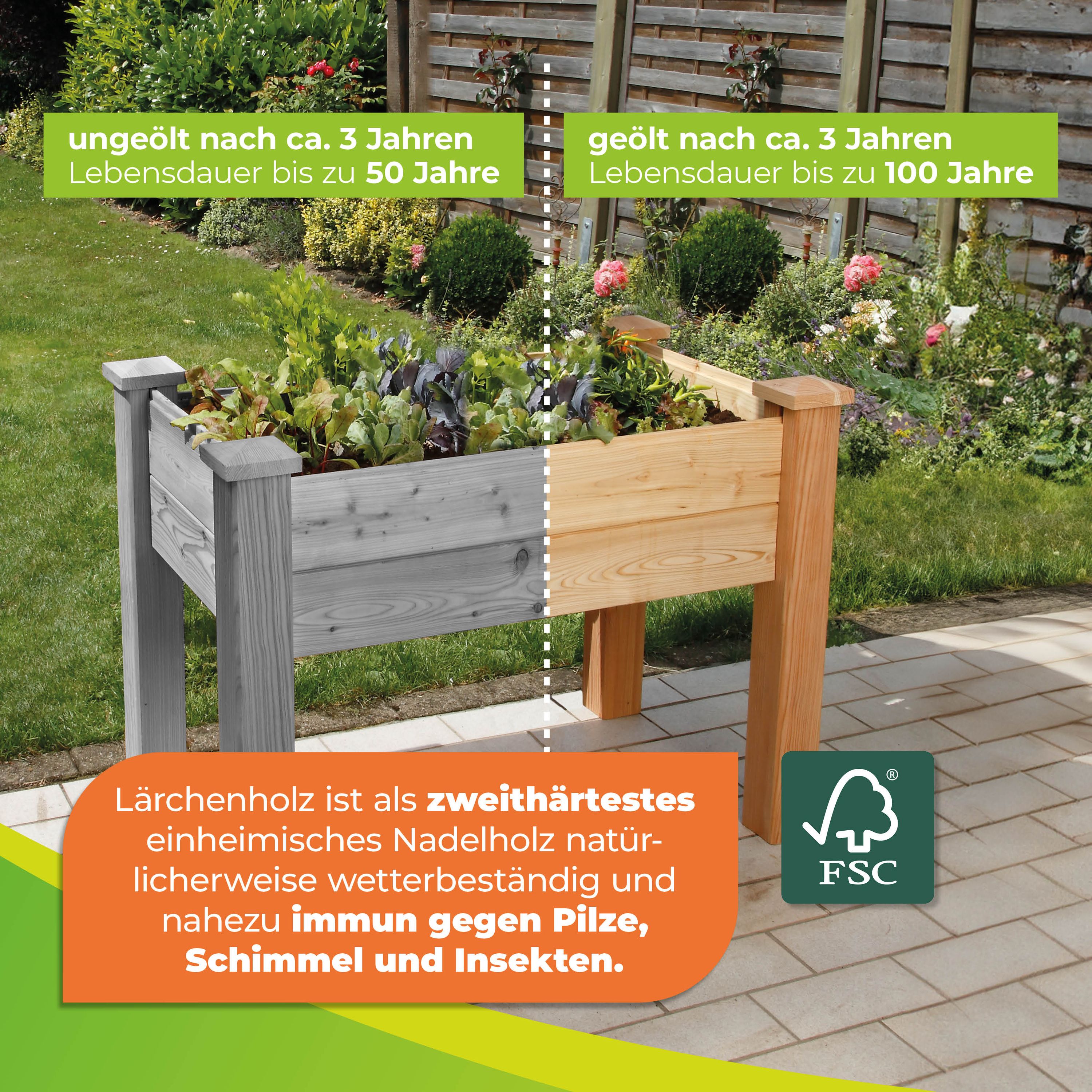 Hochbeet Windsor aus Lärchenholz für Balkon L 100 x B 60 x H 75 cm