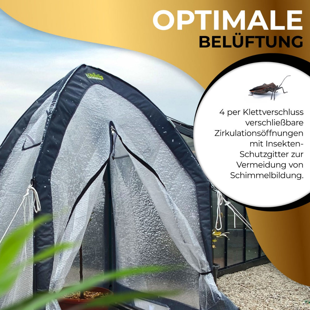Bio Green Pflanzen-Winterschutzzelt Icedome ThermoPlus mit Belüftungsöffnungen