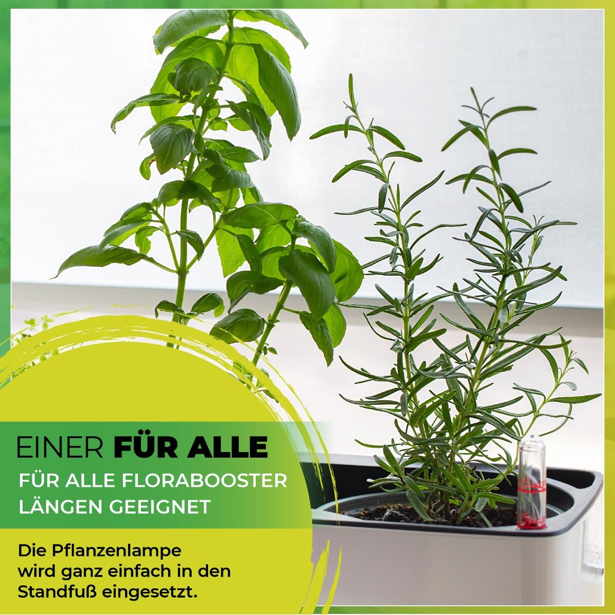 Lumière de croissance LED Florabooster 200 - 9W - 60 cm Lumière de croissance LED Florabooster 200 - 9W - 60 cm