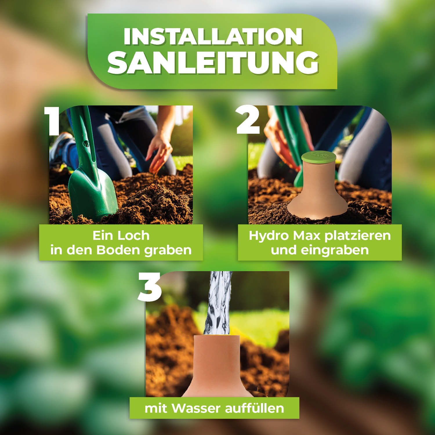 Olla Pflanzenbewässerung 