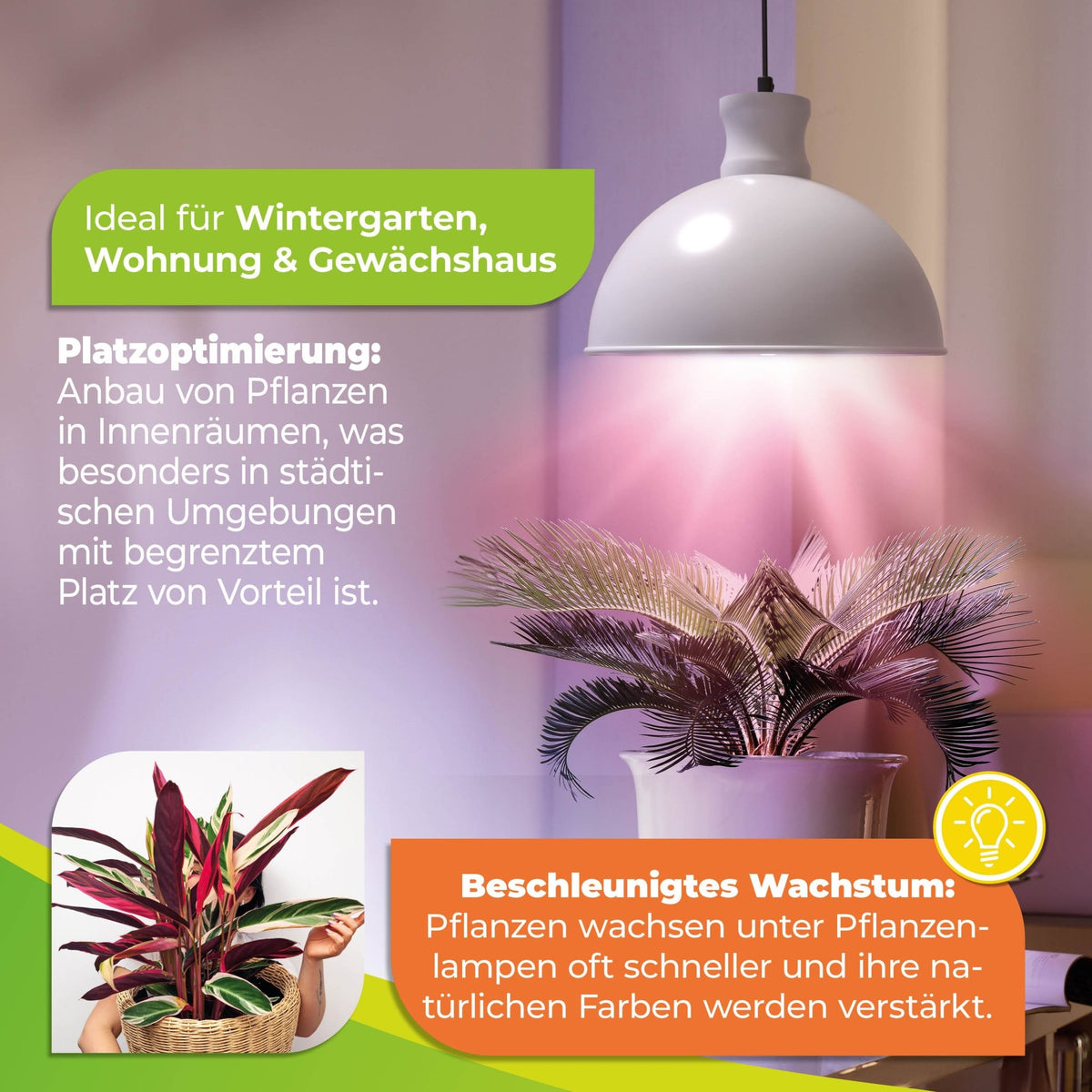 Pflanzenlampe "FLORABOOSTER 500" mit 6,5 Watt und weißem Vollspektrum LED - BioGreen GmbH