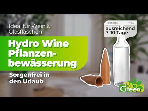 Topfpflanzenbewässerung „Hydro Wine“ 4 Stk. Tonkegel für Wein- & PET-Flaschen