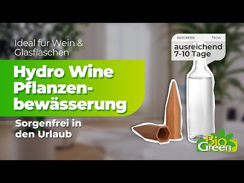 Topfpflanzenbewässerung „Hydro Wine“ mit Tonkegel 4 Stück