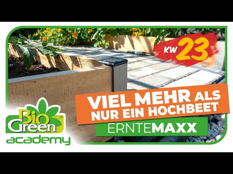 3m² Hochbeet ErnteMAXX in Siegerpodestform erhältlich in 2 Höhen