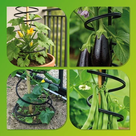 Rankhilfe "Rank - O - Twist" für Kübel und Beete H 200 cm - BioGreen GmbH