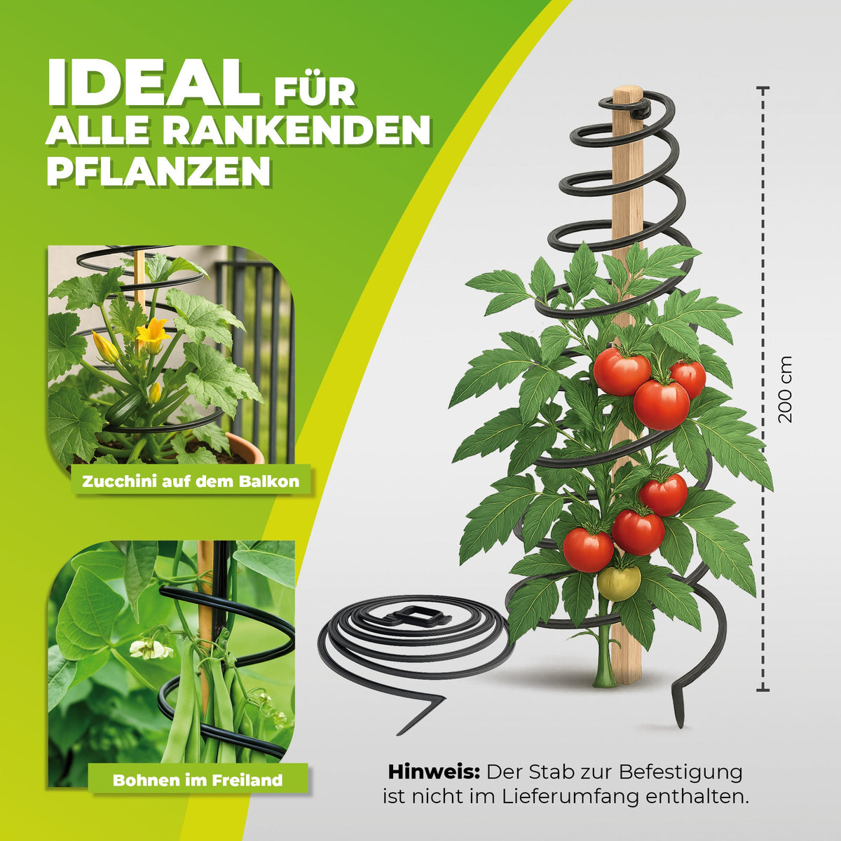 Rankhilfe "Rank - O - Twist" für Kübel und Beete H 200 cm - BioGreen GmbH