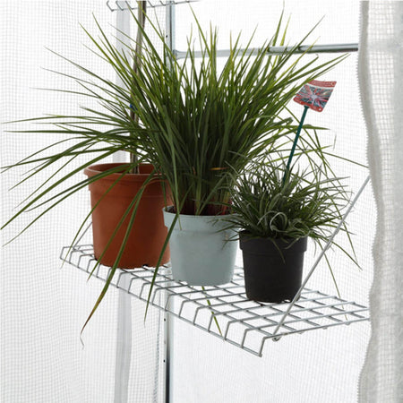 Regal für Überwinterungszelt "Patioflora 200/XL" 98 cm x 30 cm - BioGreen GmbH