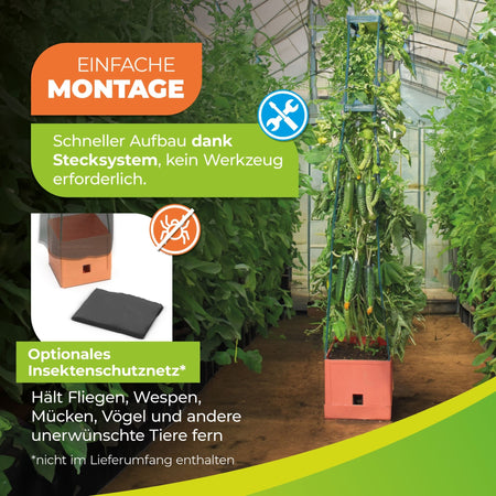 Tomaten Pflanzturm mit Rankhilfe in Terrakotta - Stil "Maxitom" 150 cm - BioGreen GmbH