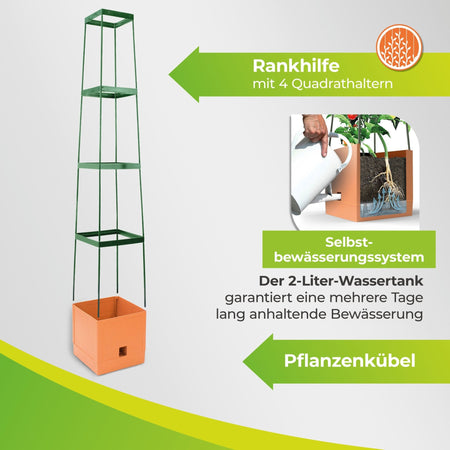 Tomaten Pflanzturm mit Rankhilfe in Terrakotta - Stil "Maxitom" 150 cm - BioGreen GmbH