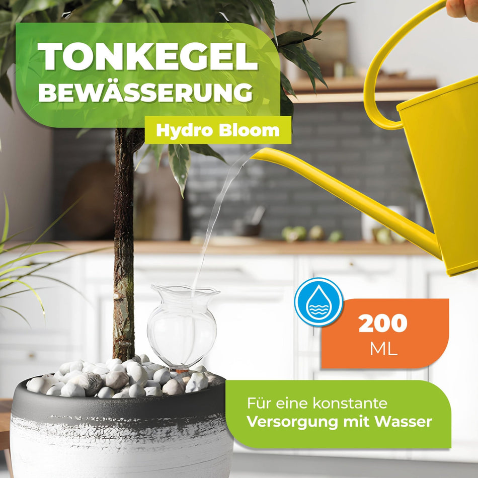 Tonkegel Bewässerung für Zimmerpflanzen "Hydro Bloom" - BioGreen GmbH