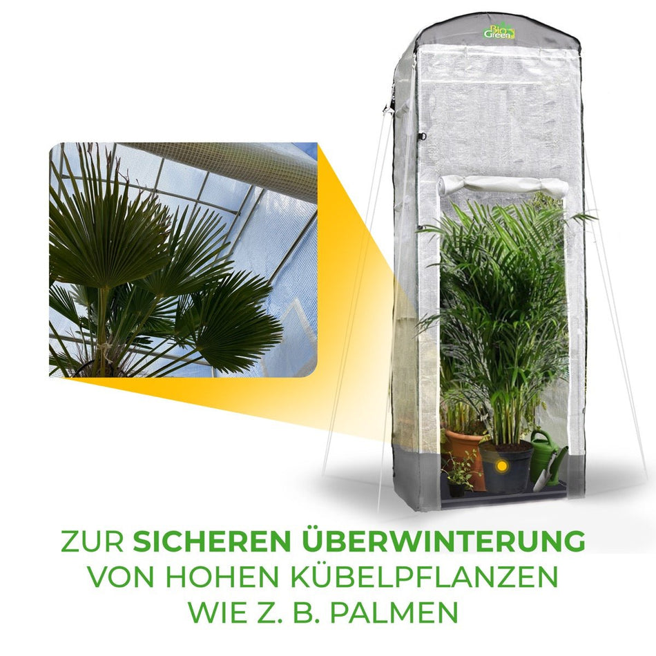 Überwinterungszelt "Patioflora 120/XL" für Pflanzen L 120 x B 120 x H 300 cm - BioGreen GmbH