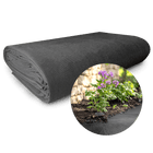 Unkraut - Mulchvlies TERRAVLIES Basic in Schwarz, UV - Stabil, Wasserdurchlässig - BioGreen GmbH