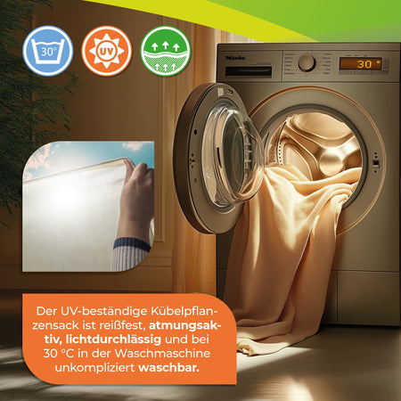 Winterschutz für Kübelpflanzen "Jumbo" H 200 x B 240 cm - BioGreen GmbH
