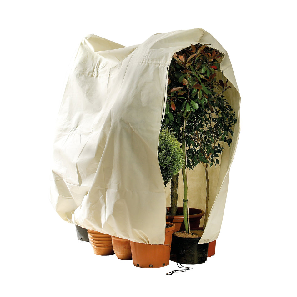 Winterschutz für Kübelpflanzen "Jumbo" H 200 x B 240 cm - BioGreen GmbH
