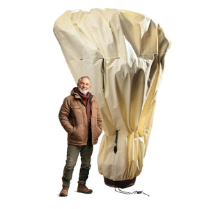 Winterschutz für Palmen 