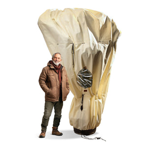 Winterschutz für Palmen 