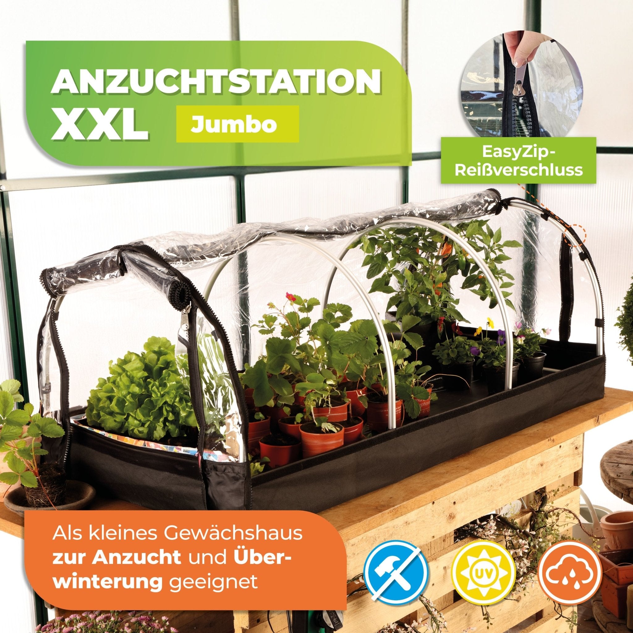 Zimmergewächshaus "Jumbo" XXL ideal für die Anzucht - BioGreen GmbH