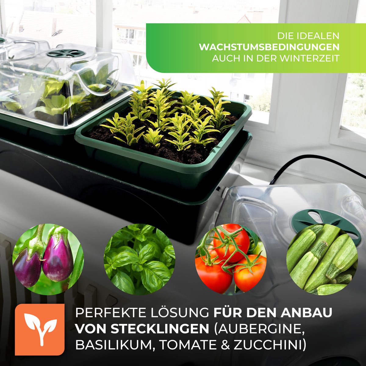 Bio Green Anzuchtstation / Mini-Gewächshaus Hollandia für optimale Wachstumsbedingungen
