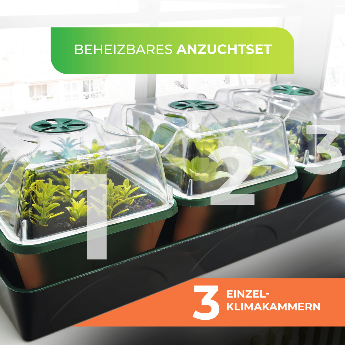 Bio Green Anzuchtstation / Mini-Gewächshaus Hollandia mit 3 einzelnen Klimakammern