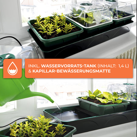 Bio Green Anzuchtstation / Mini-Gewächshaus Hollandia mit Wassertank und Bewässerungsmatte