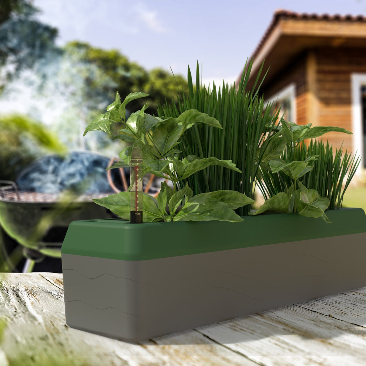 Bio Green Fensterbank-Kräuterbox Provence Milieubild 1