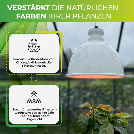 Bio Green LED-Pflanzenleuchte Florabooster 500 in Weiß für den Einsatz bei fehlendem Tageslicht