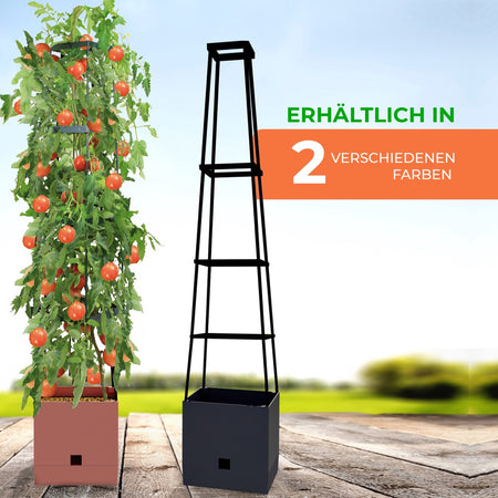 Bio Green Pflanzkübel mit Rankhilfe Maxitom in anthrazit und terracotta erhältlich