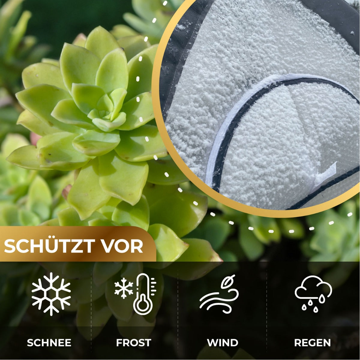 Bio Green Pflanzen-Winterschutzzelt Icedome ThermoPlus schützt vor Schnee, Frost, WInd, Regen